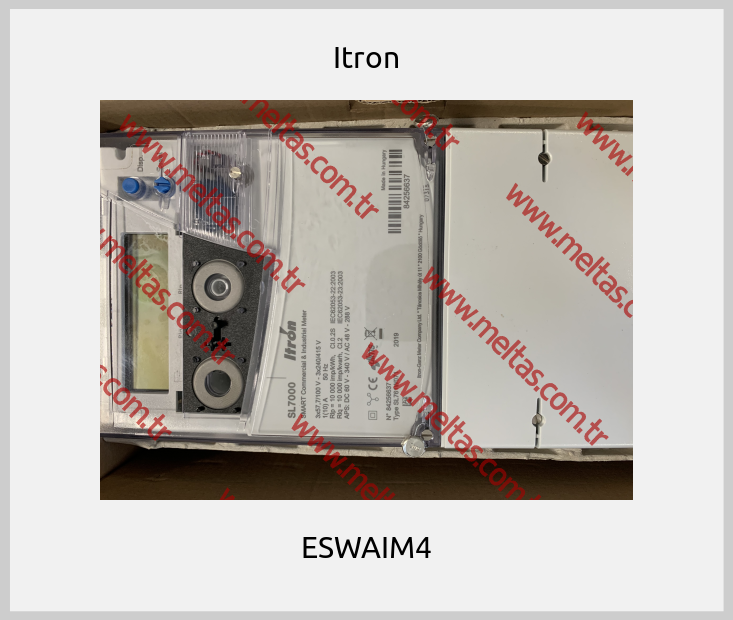 Itron - ESWAIM4