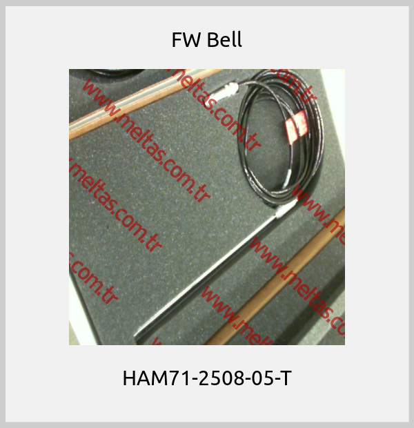 FW Bell - HAM71-2508-05-T