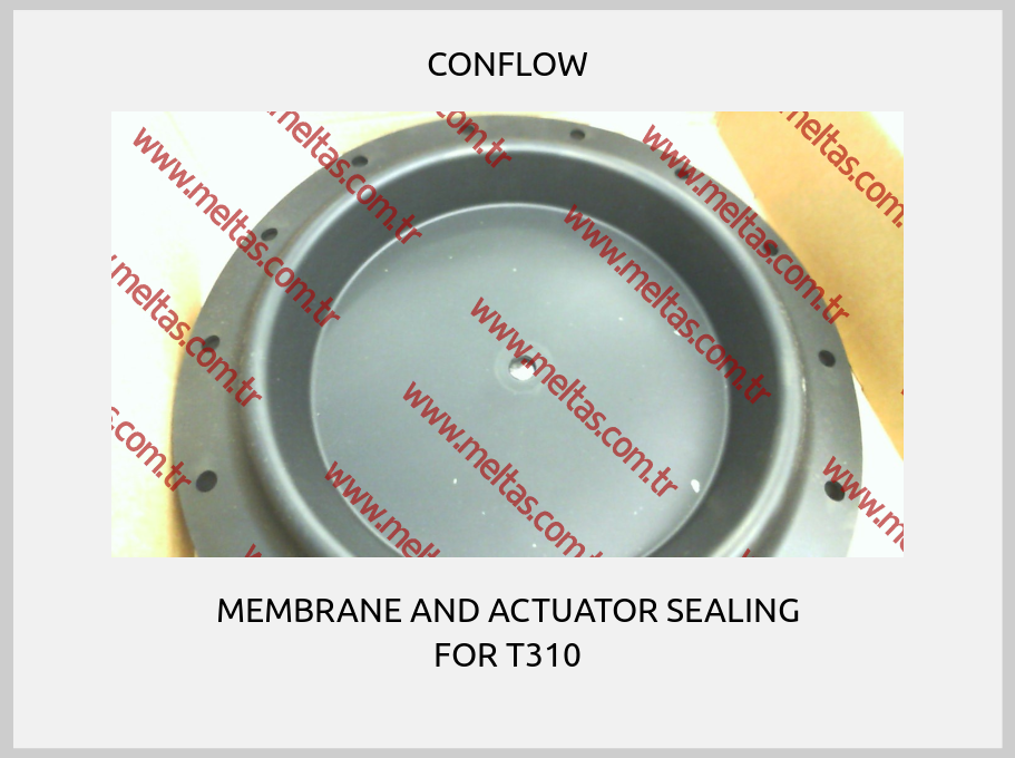CONFLOW-MEMBRANE AND ACTUATOR SEALING FOR T310