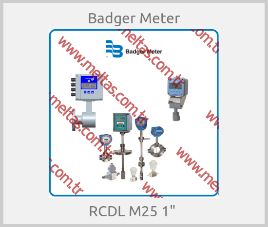 Badger Meter - RCDL M25 1" 