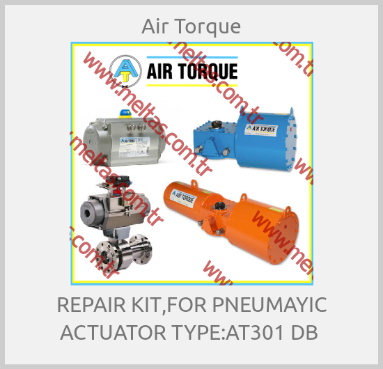 Air Torque - REPAIR KIT,FOR PNEUMAYIC ACTUATOR TYPE:AT301 DB 