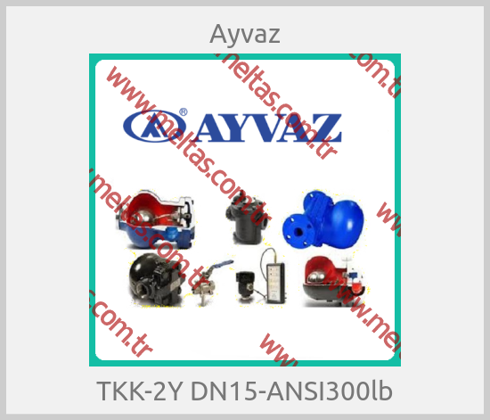 Ayvaz-TKK-2Y DN15-ANSI300lb