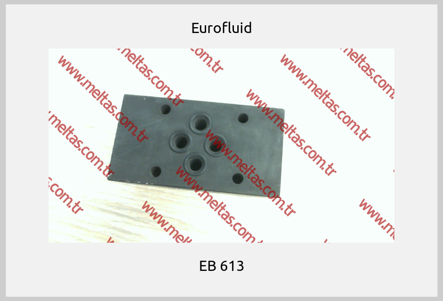 Eurofluid - EB 613