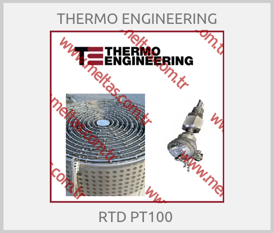 Thermo Engineering S.r.l.-RTD PT100 