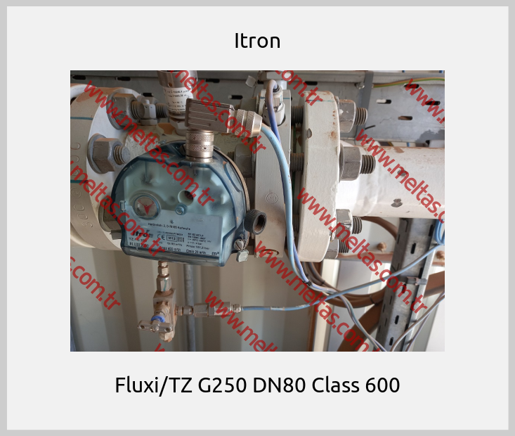 Itron - Fluxi/TZ G250 DN80 Class 600