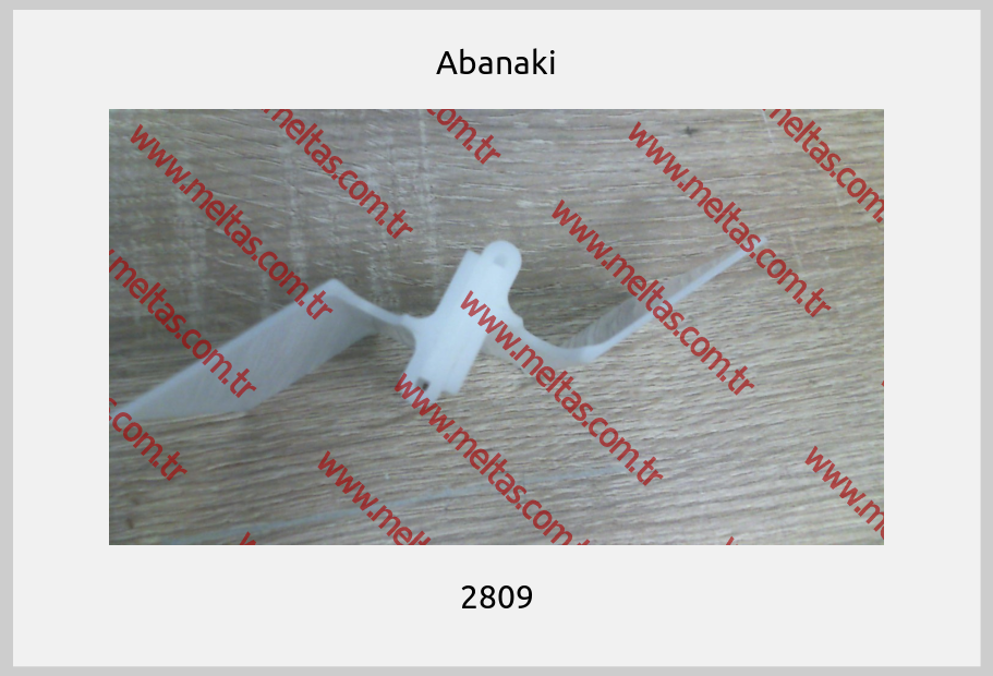 Abanaki - 2809