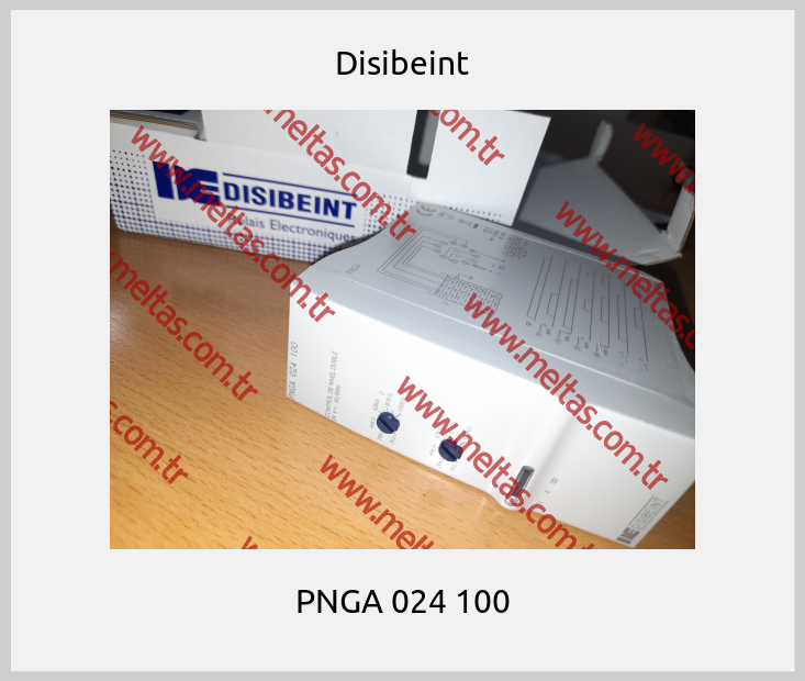Disibeint - PNGA 024 100