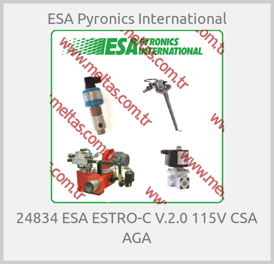 ESA Pyronics International-24834 ESA ESTRO-C V.2.0 115V CSA AGA