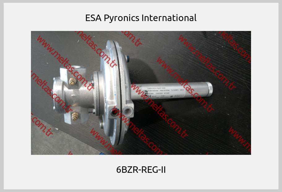 ESA Pyronics International - 6BZR-REG-II