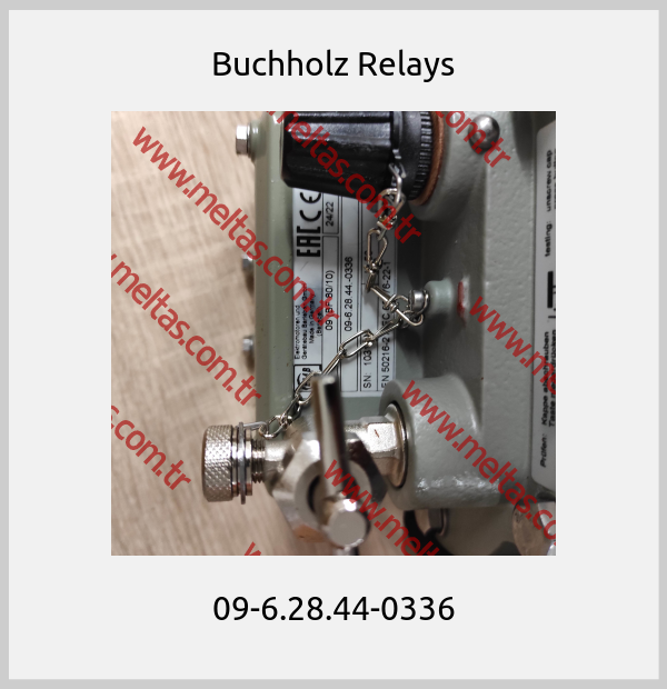 Buchholz Relays-09-6.28.44-0336