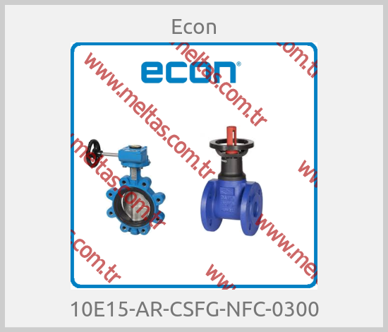 Econ - 10E15-AR-CSFG-NFC-0300