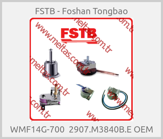FSTB - Foshan Tongbao-WMF14G-700  2907.M3840B.E OEM