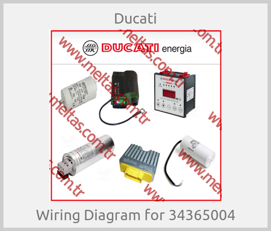 Ducati - Wiring Diagram for 34365004
