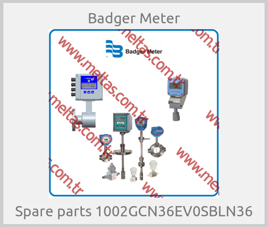 Badger Meter - Spare parts 1002GCN36EV0SBLN36