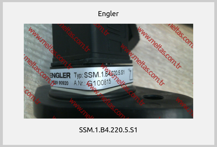 Engler-SSM.1.B4.220.5.S1