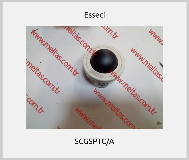 Esseci - SCGSPTC/A