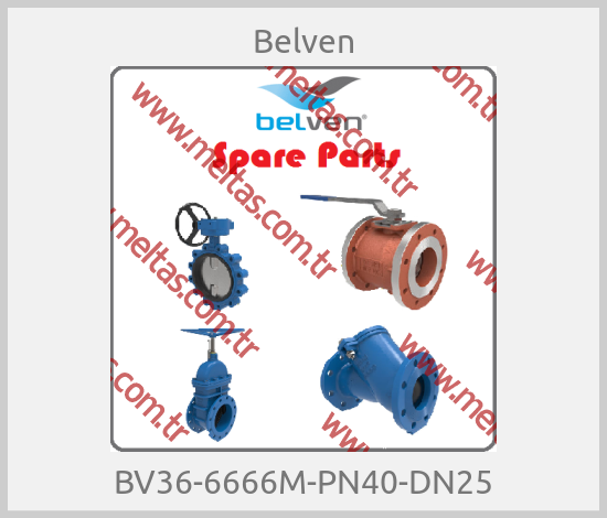 Belven - BV36-6666M-PN40-DN25