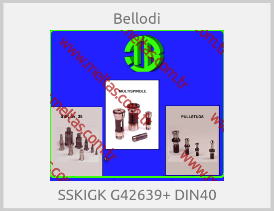 Bellodi - SSKIGK G42639+ DIN40