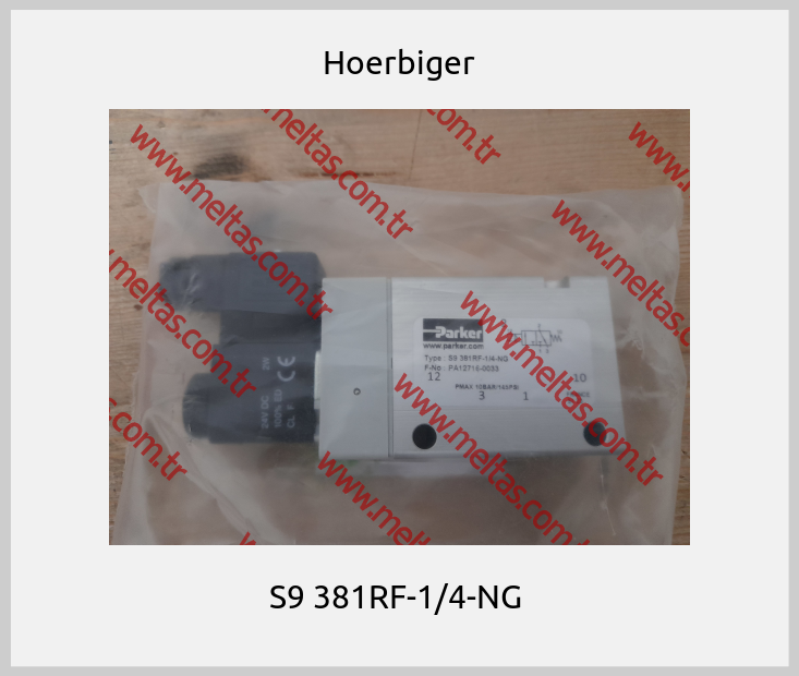 Hoerbiger - S9 381RF-1/4-NG 