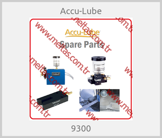 Accu-Lube - 9300