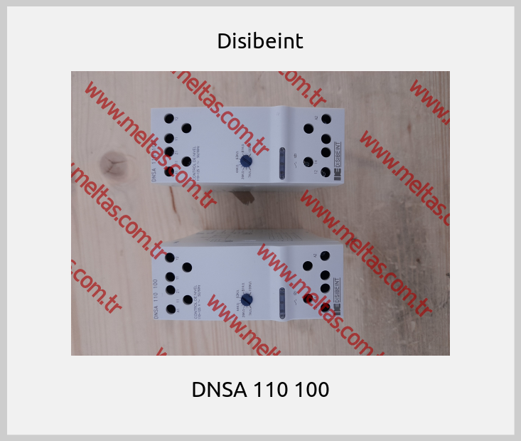 Disibeint - DNSA 110 100