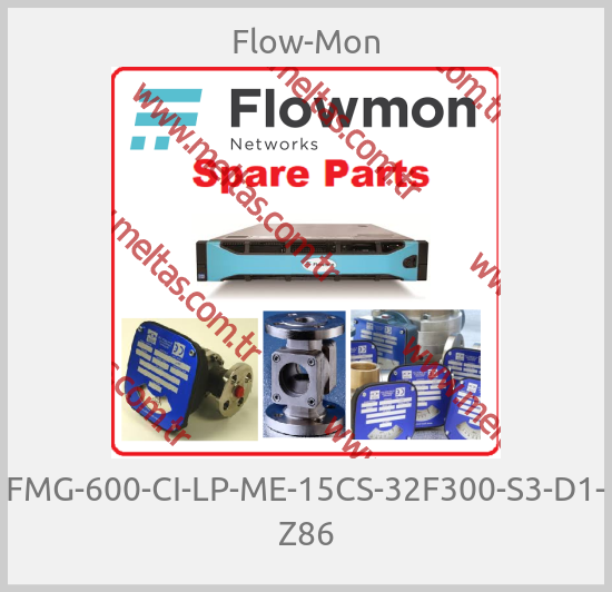 Flow-Mon - FMG-600-CI-LP-ME-15CS-32F300-S3-D1- Z86