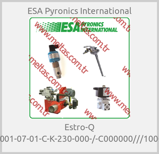 ESA Pyronics International - Estro-Q A-001-07-01-C-K-230-000-/-C000000///10004