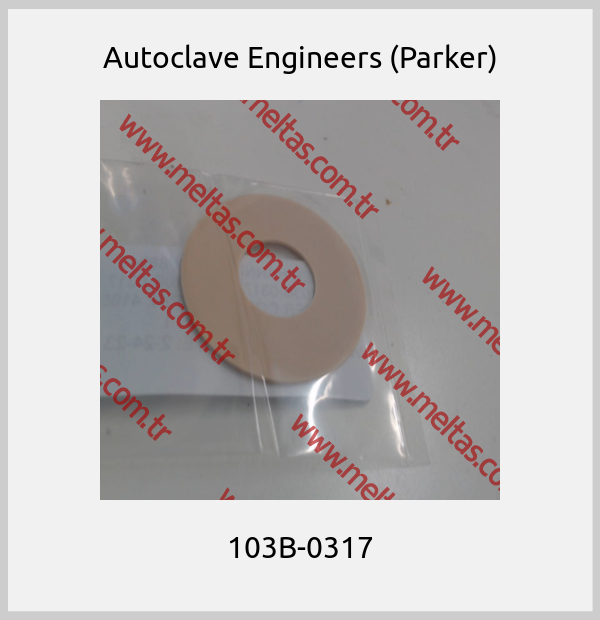 Autoclave Engineers (Parker)-103B-0317
