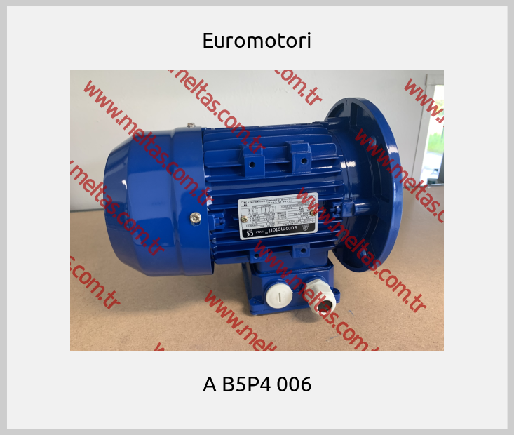 Euromotori-A B5P4 006