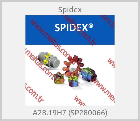 Spidex - A28.19H7 (SP280066)