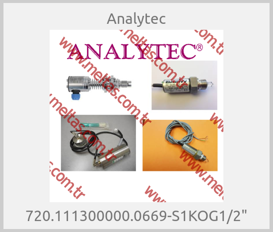 Analytec - 720.111300000.0669-S1KOG1/2"