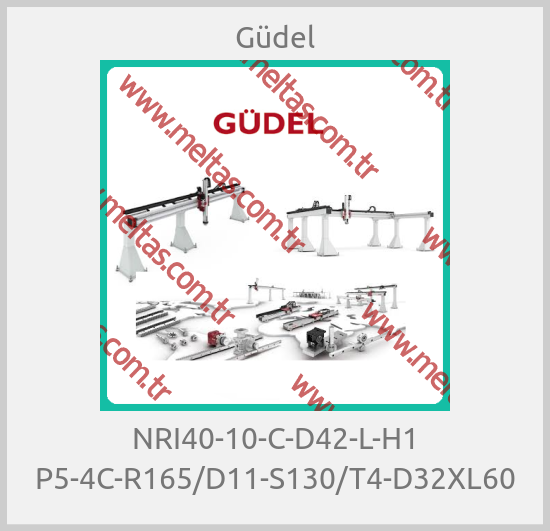 Güdel-NRI40-10-C-D42-L-H1 P5-4C-R165/D11-S130/T4-D32XL60