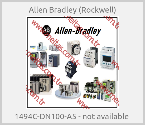 Allen Bradley (Rockwell) - 1494C-DN100-A5 - not available 