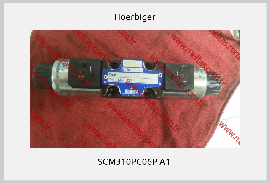 Hoerbiger - SCM310PC06P A1 