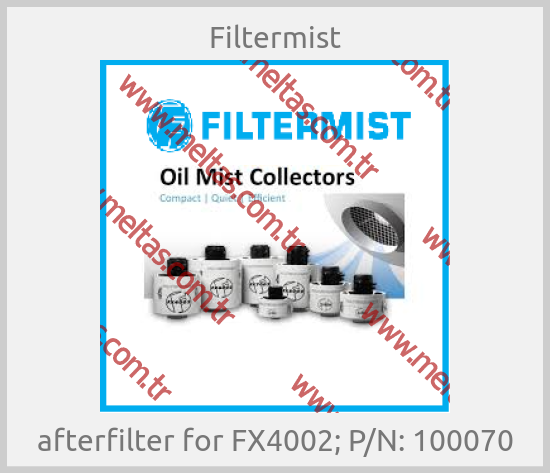 Filtermist - afterfilter for FX4002; P/N: 100070