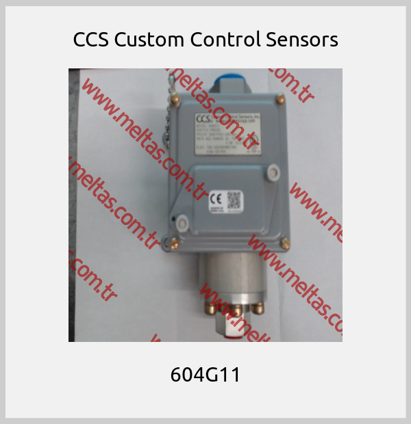 CCS Custom Control Sensors-604G11