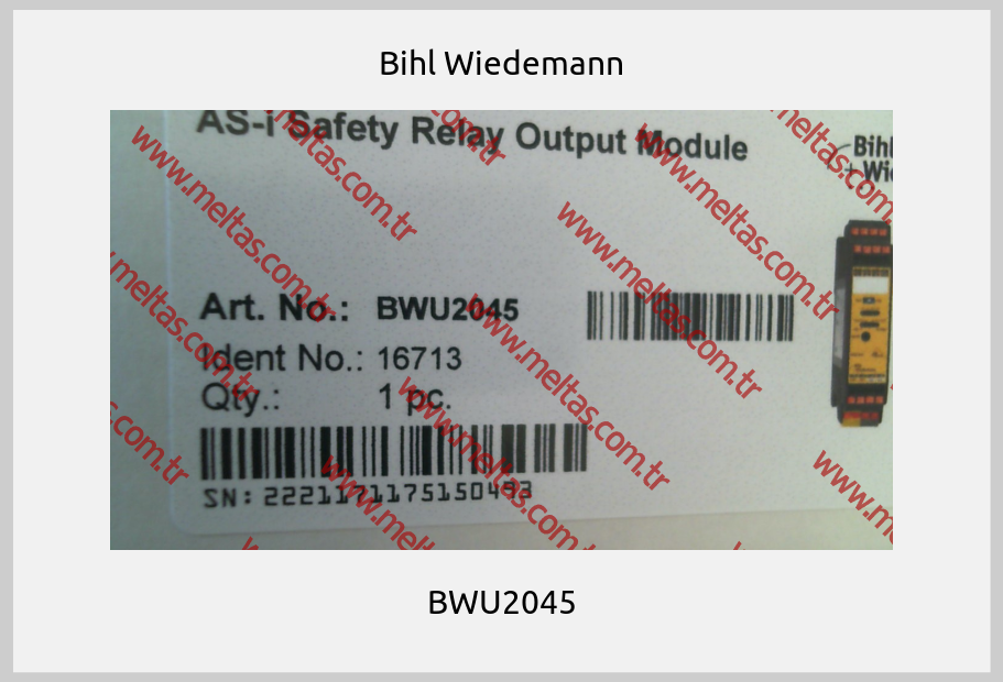 Bihl Wiedemann - BWU2045