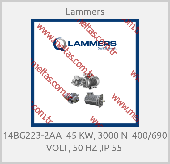 Lammers - 14BG223-2AA  45 KW, 3000 N  400/690 VOLT, 50 HZ ,IP 55 