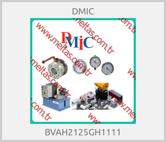 DMIC - BVAH2125GH1111