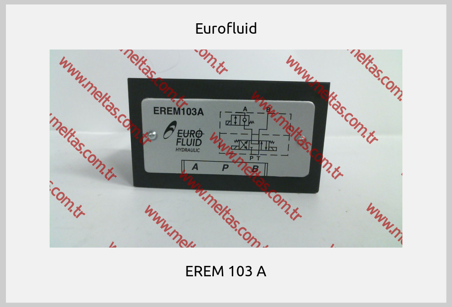Eurofluid - EREM 103 A