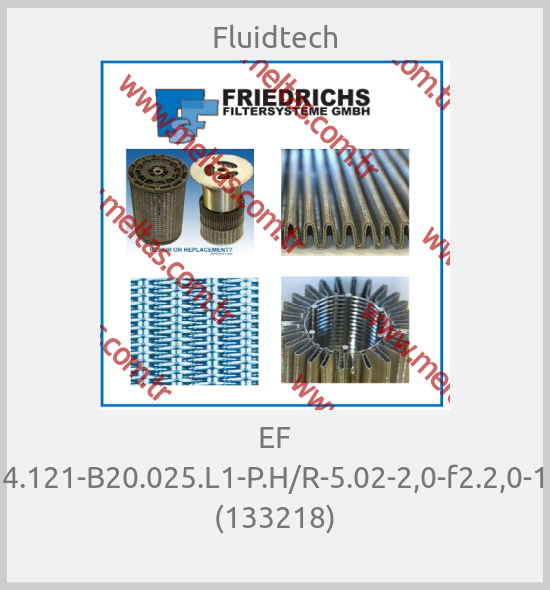 Fluidtech - EF 4.121-B20.025.L1-P.H/R-5.02-2,0-f2.2,0-1 (133218)
