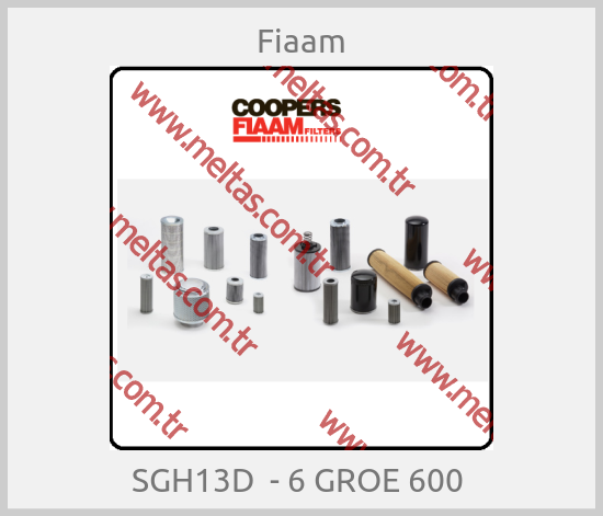 Fiaam-SGH13D  - 6 GROE 600 