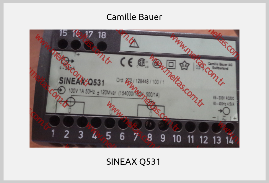 Camille Bauer - SINEAX Q531 