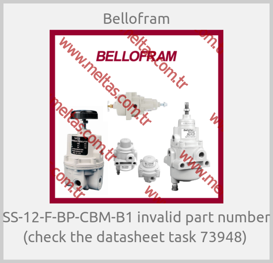 Bellofram - SS-12-F-BP-CBM-B1 invalid part number (check the datasheet task 73948) 