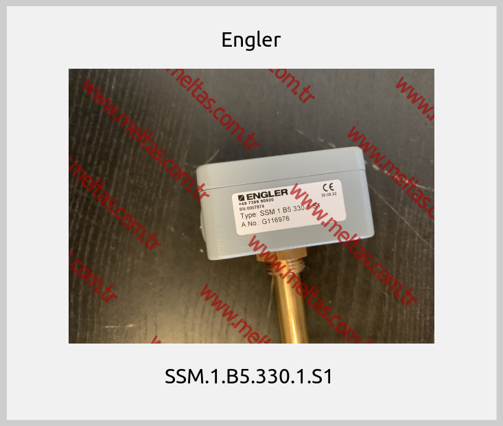 Engler - SSM.1.B5.330.1.S1 