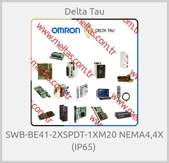 Delta Tau - SWB-BE41-2XSPDT-1XM20 NEMA4,4X (IP65) 