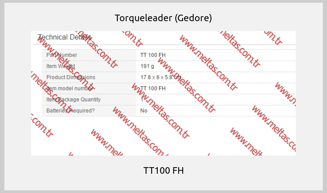 Torqueleader (Gedore) - TT100 FH
