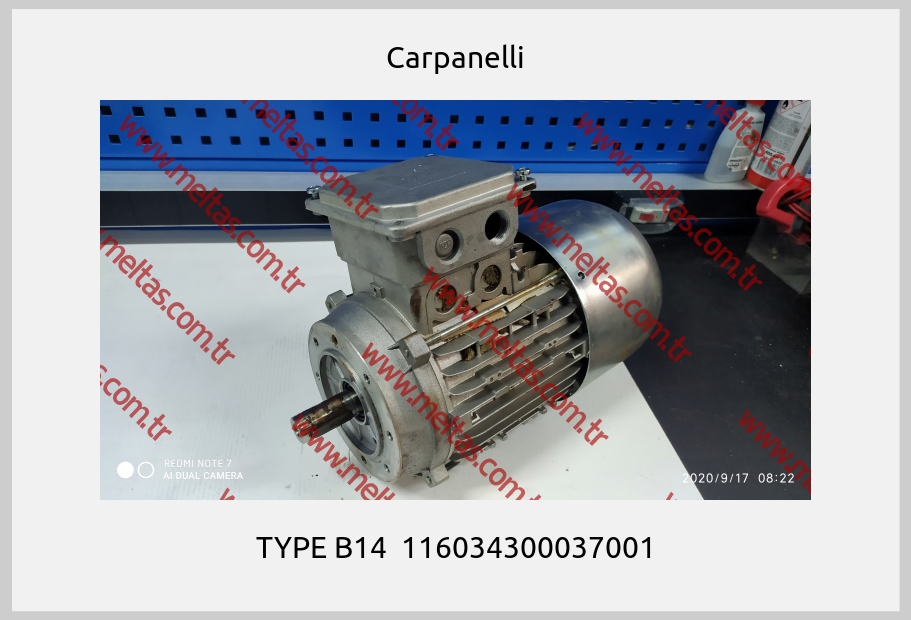 Carpanelli - TYPE B14  116034300037001
