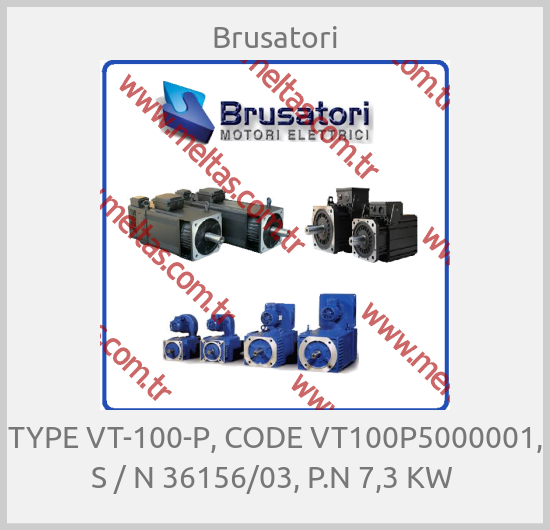 Brusatori - TYPE VT-100-P, CODE VT100P5000001, S / N 36156/03, P.N 7,3 KW 