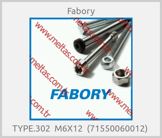 Fabory - TYPE.302  M6X12  (71550060012) 